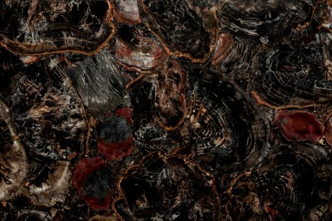 Black Petrified Wood   Schmuckstein schwarz